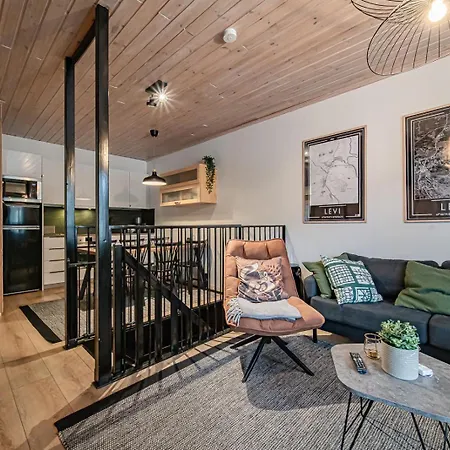 Jukola Juhani Ski-in Ski-out By Aavalevi * レヴィ