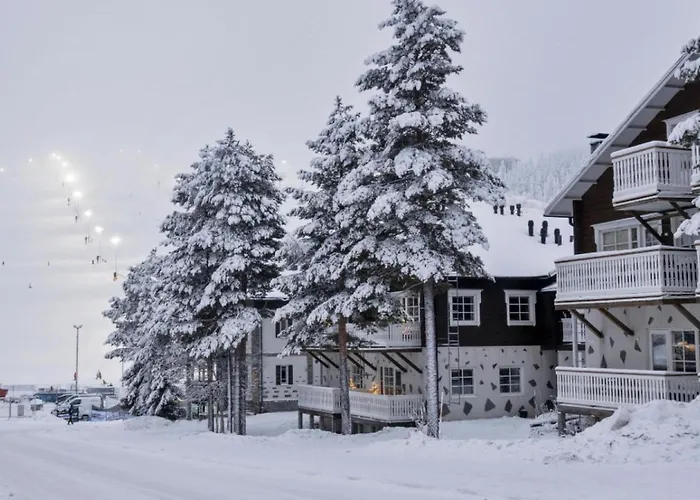 Jukola Juhani Ski-in Ski-out By Aavalevi Daire Levi