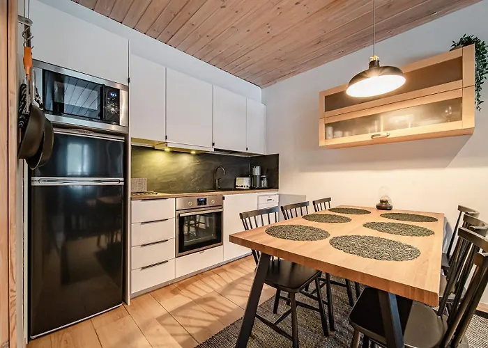 Jukola Juhani Ski-in Ski-out By Aavalevi Daire