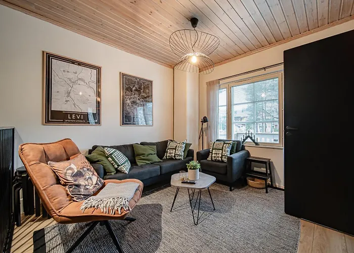 Jukola Juhani Ski-in Ski-out By Aavalevi Daire *