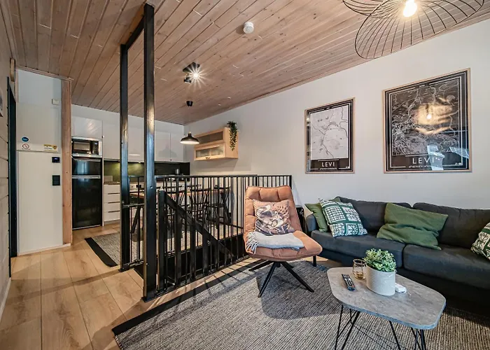 Jukola Juhani Ski-in Ski-out By Aavalevi * Levi