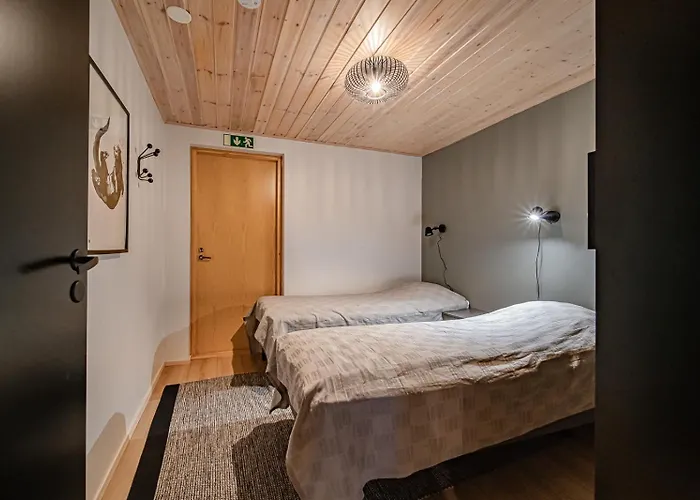 Jukola Juhani Ski-in Ski-out By Aavalevi Daire Levi