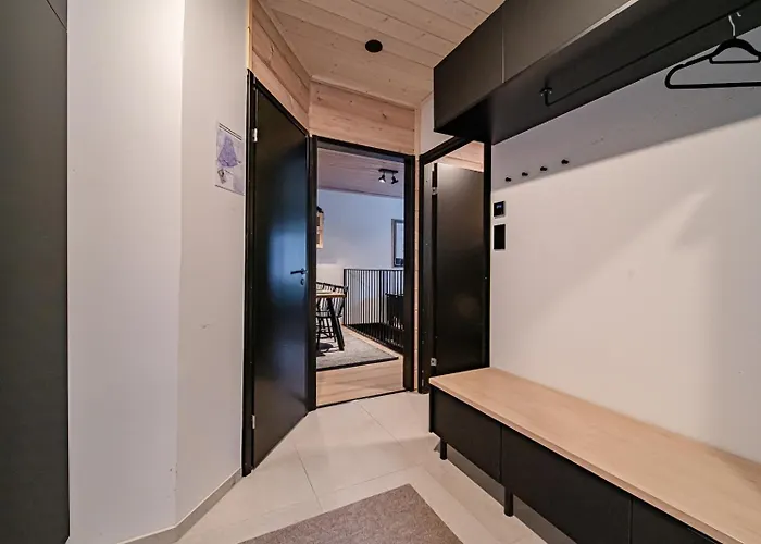 Jukola Juhani Ski-in Ski-out By Aavalevi Daire *