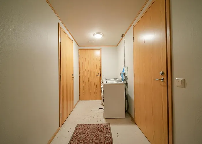 Jukola Juhani Ski-in Ski-out By Aavalevi Daire *